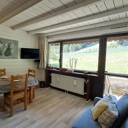 **duplex Renove En Frond De Neige Avec Terrasse Et Equipements Modernes** - Fr-1-165a-179 * Uvernet-Fours