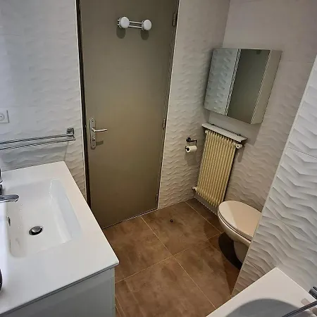 **duplex Renove En Frond De Neige Avec Terrasse Et Equipements Modernes** - Fr-1-165a-179 Apartment