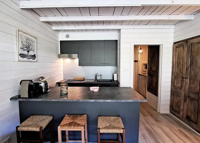 Superbe Duplex Renove Au Pied Des Pistes Avec Terrasse - Fr-1-165a-179 *